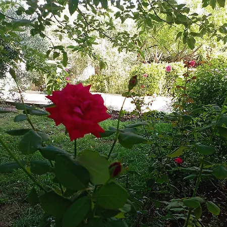 Apartmani Trubi Vodice Exterior foto
