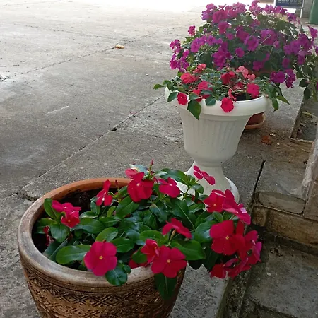 Apartmani Trubi Vodice Exterior foto