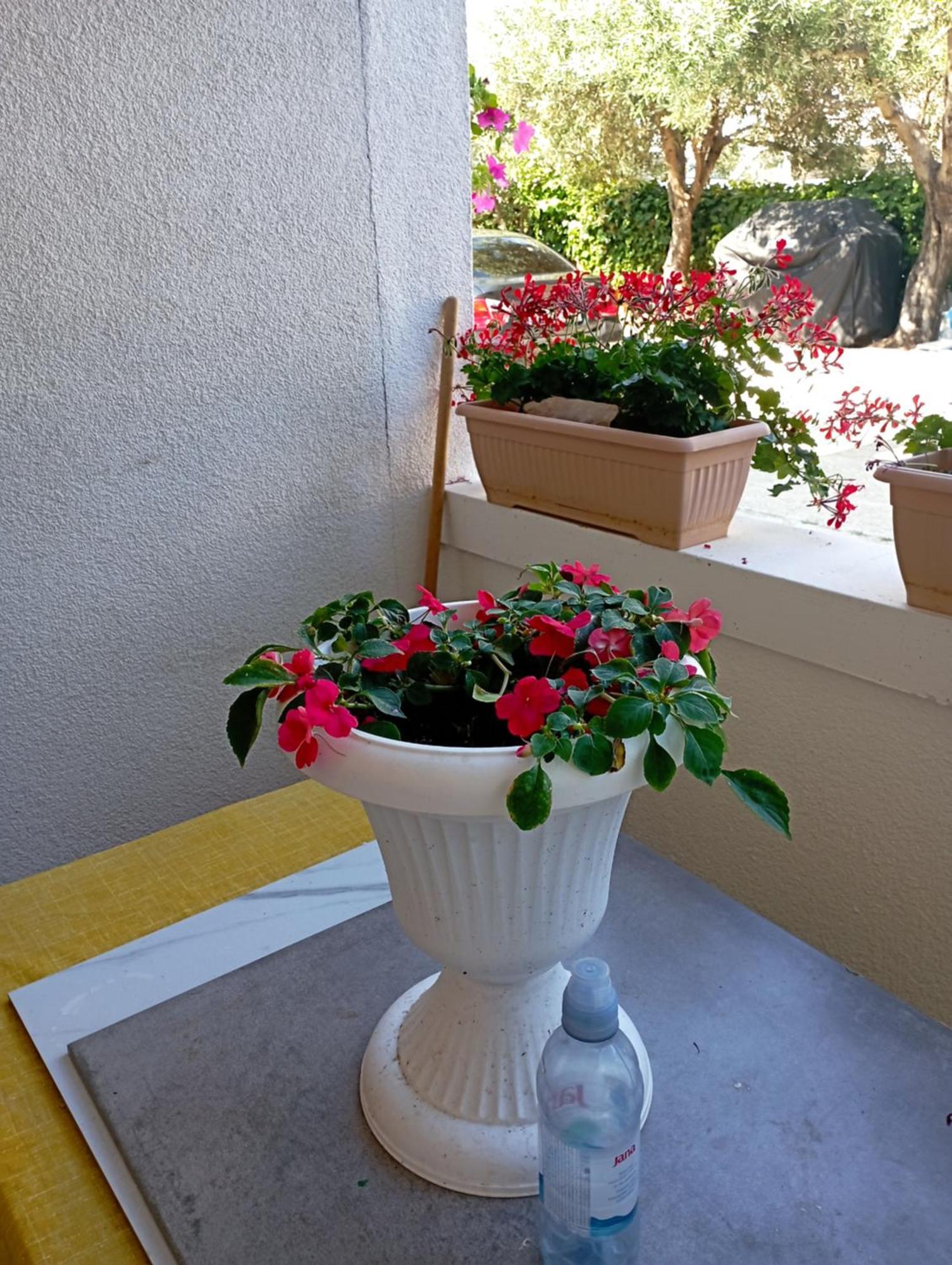 Trubi 3 Apartment Vodice